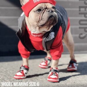 Dog Boots